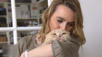 La vie secrète des chats - S2E1 - Du chat des villes au chat des champs