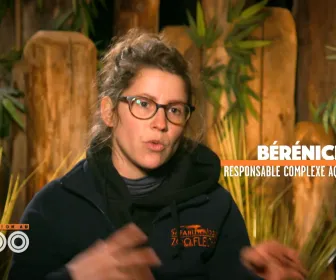 Une saison au zoo