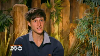 Une saison au zoo - S14 E49