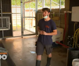 Une saison au zoo