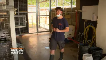 Une saison au zoo - S14 E50