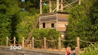 Une saison au zoo - S14 E51