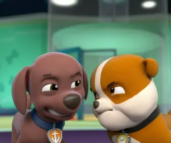 Paw Patrol, la Pat'Patrouille
