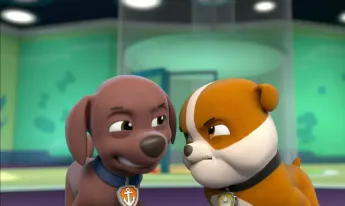 Paw Patrol, la Pat'Patrouille - Que le meilleur gagne !