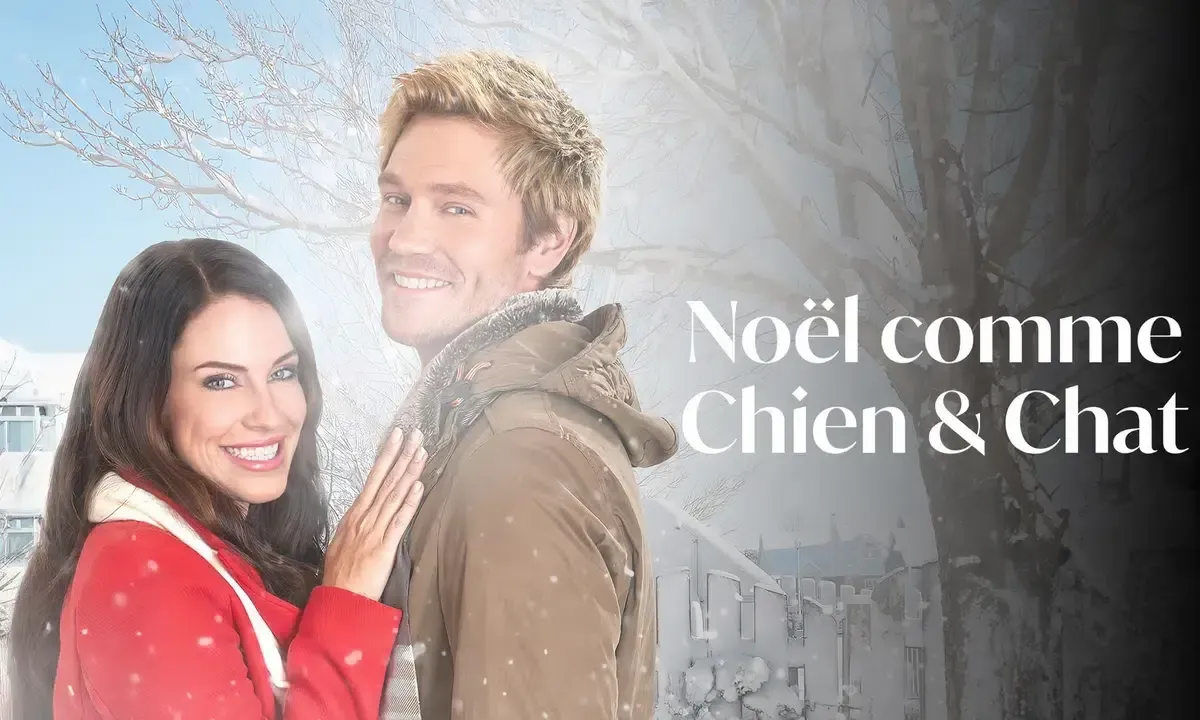 Noël comme chien et chat