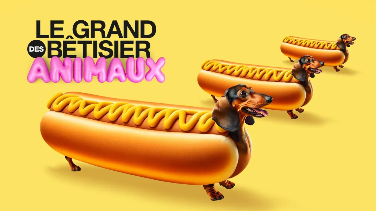 Le grand bêtisier des animaux
