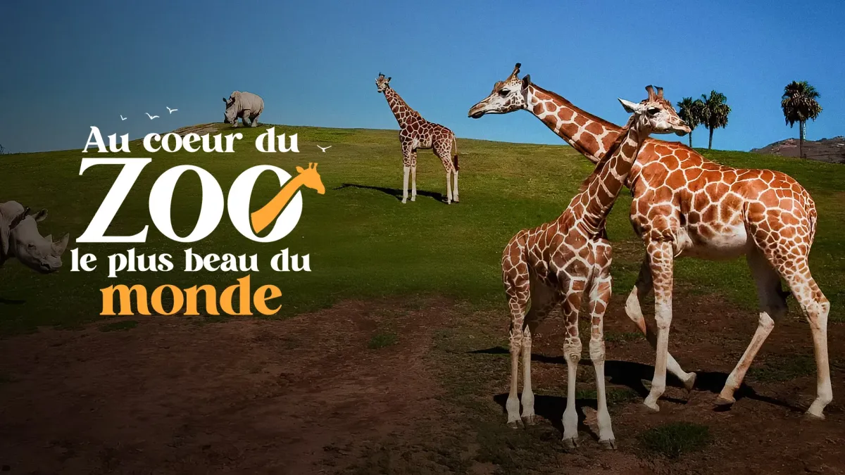 Au coeur du zoo le plus beau du monde