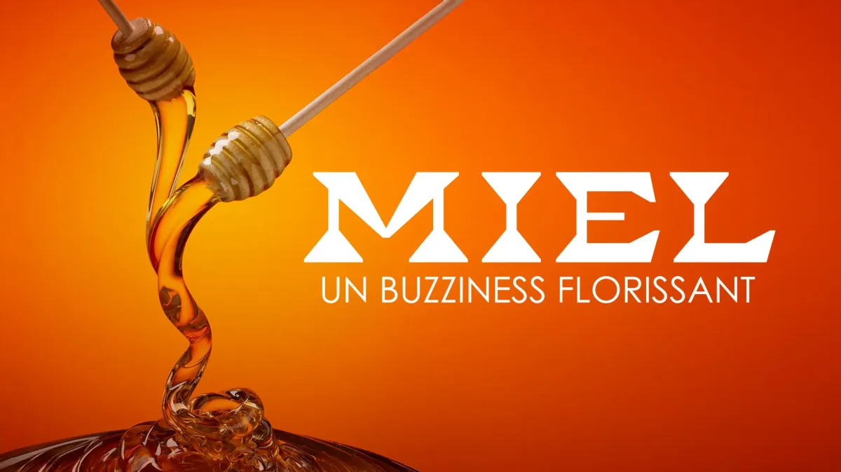 Miel : un buzziness florissant
