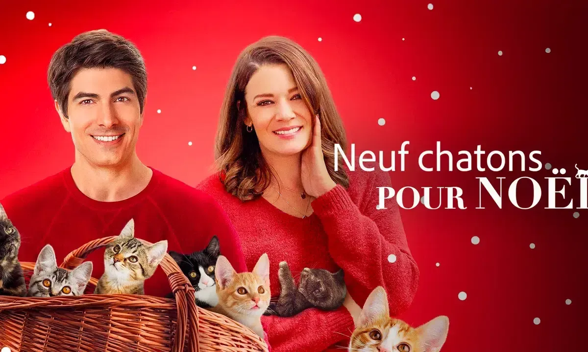 Neuf chatons pour Noël