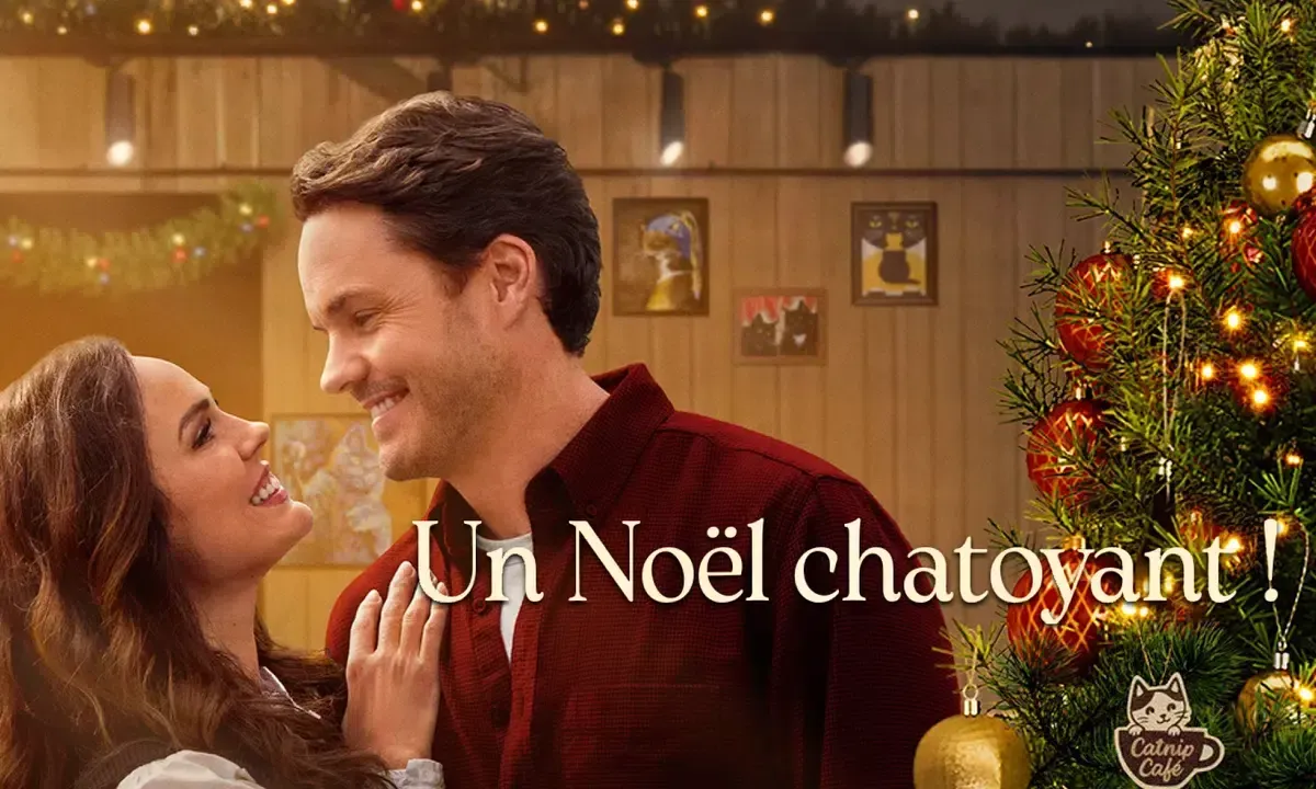 Un Noël chatoyant !