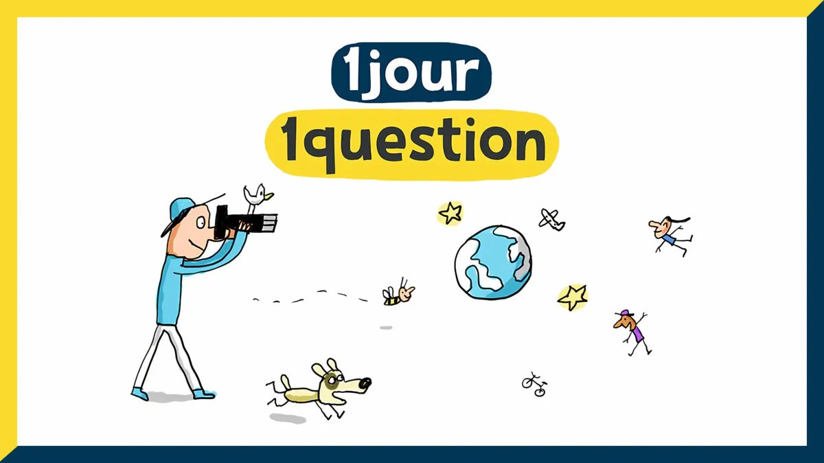 1 jour, 1 question